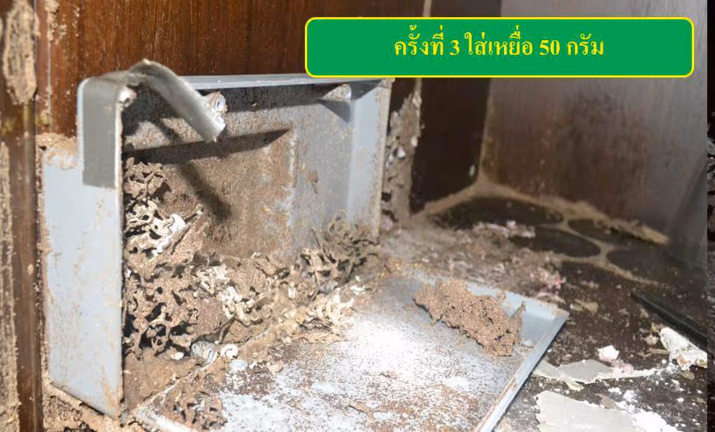 ผลงานกำจัดปลวก สระแก้ว 2