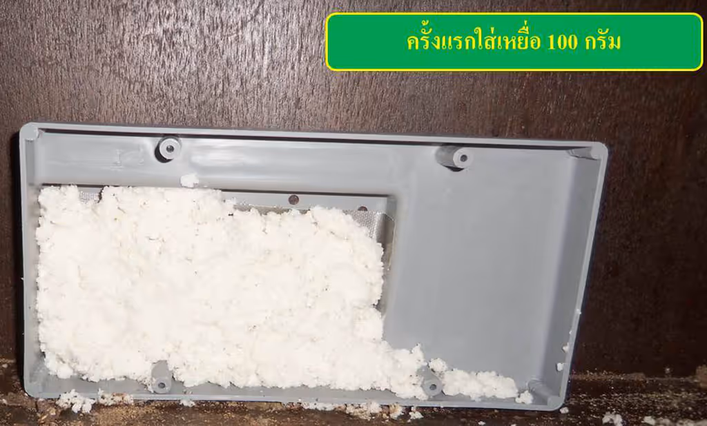 ผลงานกำจัดปลวก บุรีรัมย์ 3