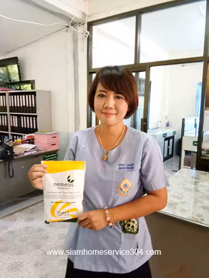 ผลงานกำจัดปลวก บุรีรัมย์ 2