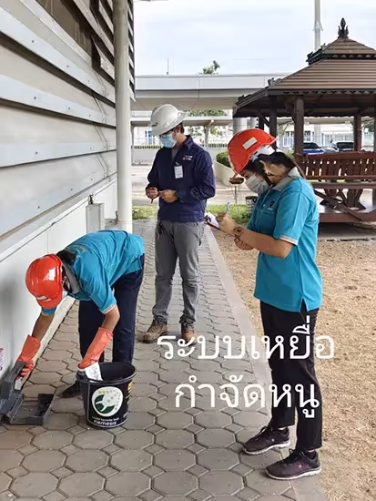 ผลงานกำจัดปลวก บุรีรัมย์ 13