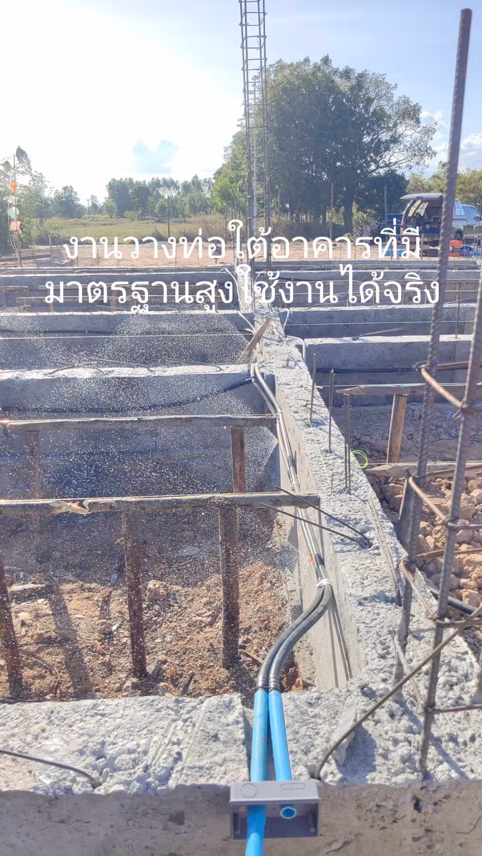 ผลงานกำจัดปลวก บุรีรัมย์ 25