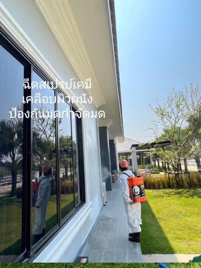 ผลงานกำจัดปลวก บุรีรัมย์ 31