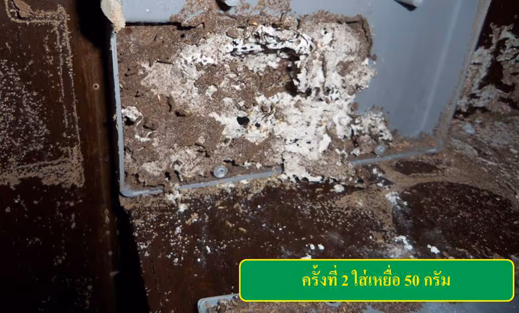 ผลงานกำจัดปลวก สระแก้ว 36