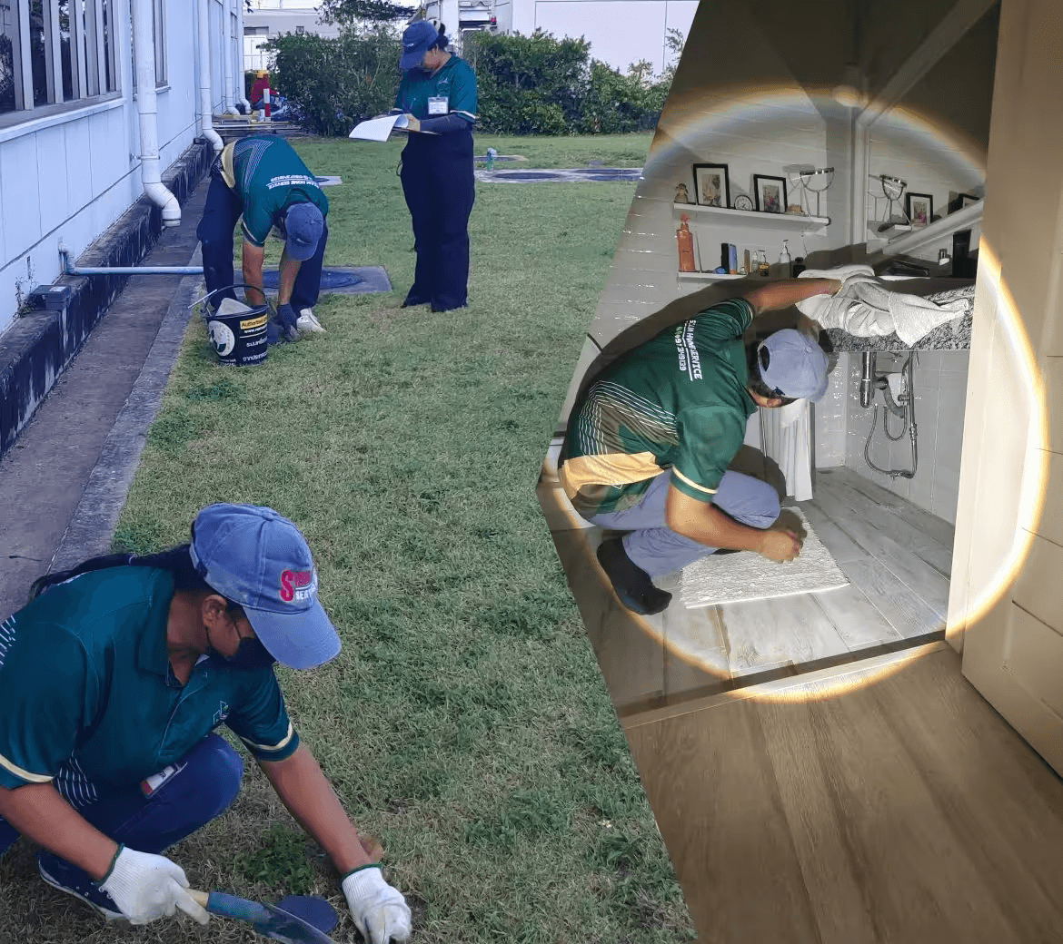 กำจัดปลวก บุรีรัมย์