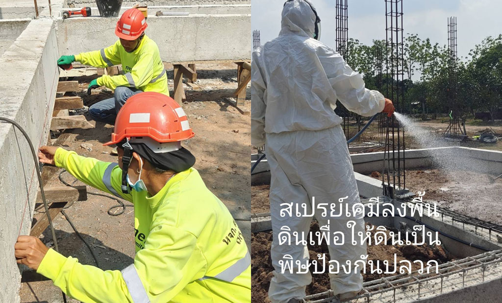 304 กำจัดปลวก ปราจีนบุรี ราคาถูก